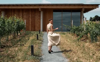 Meisterwerke der Wein-Architektur unter den Pollauer Bergen
