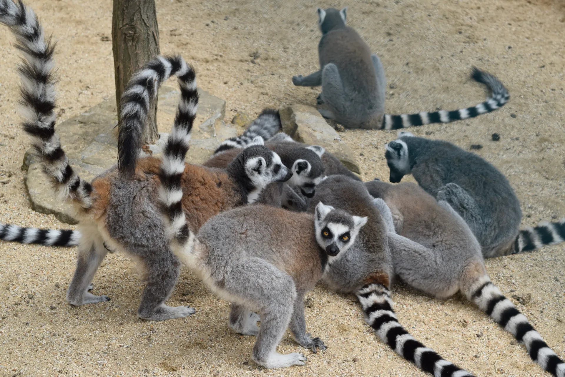 Der Zoopark Vyškov