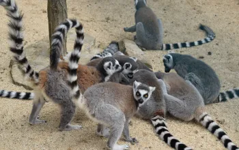 Der Zoopark Vyškov