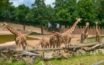 Brünner ZOO