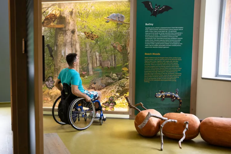 autor: Vozejkmap