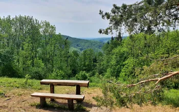 Freuen Sie sich auf den Blick über die tiefen Wälder von Adamov