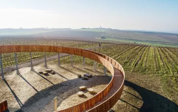 Nach Hobitín (Hobbit-Dorf) und über die Weinberge