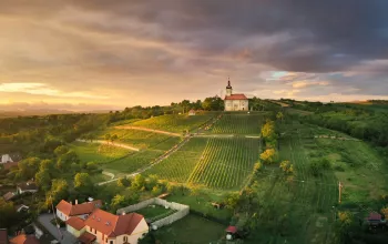 In die Mährische Slowakei auf den Spuren hochwertiger Weine und Architektur