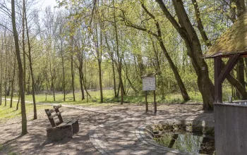 Durch die ebene Landschaft Hodonínská Dúbrava