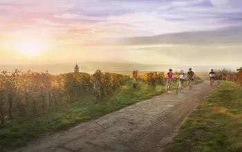 Mährische Weinwanderwege